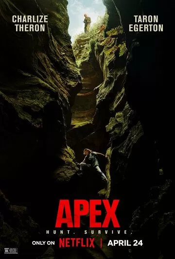 На вершине